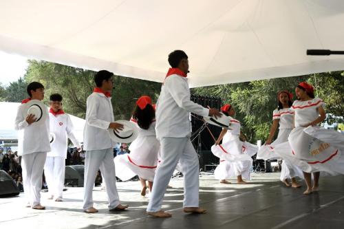 Campaña Por el Derecho al Aprendizaje 0963